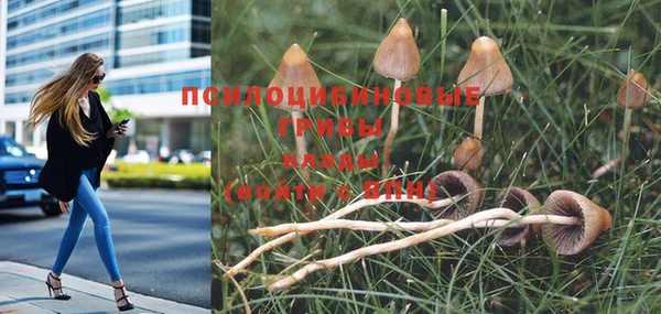 бутират Алексин