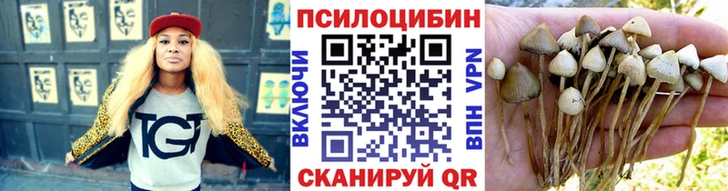 дарнет шоп  shop Telegram  Галлюциногенные грибы Psilocybe  Жиздра 