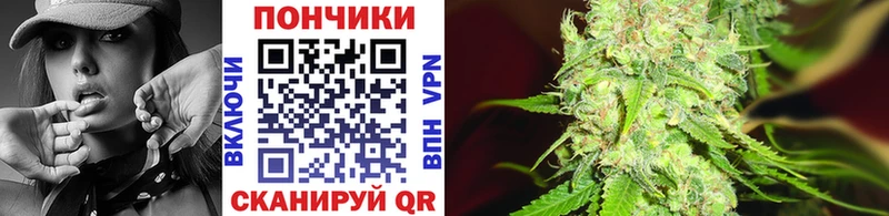 даркнет состав  Жиздра  Конопля гибрид  продажа наркотиков 